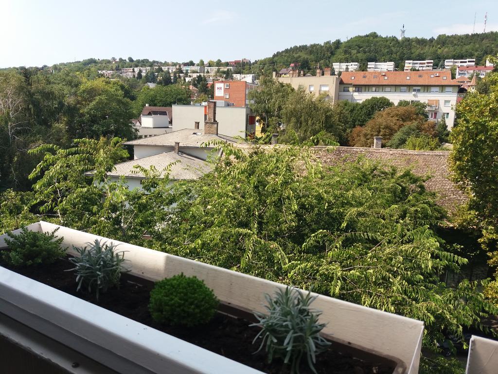 Málnás Macska Apartman Szekszárd Exterior foto