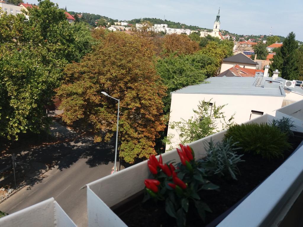 Málnás Macska Apartman Szekszárd Exterior foto